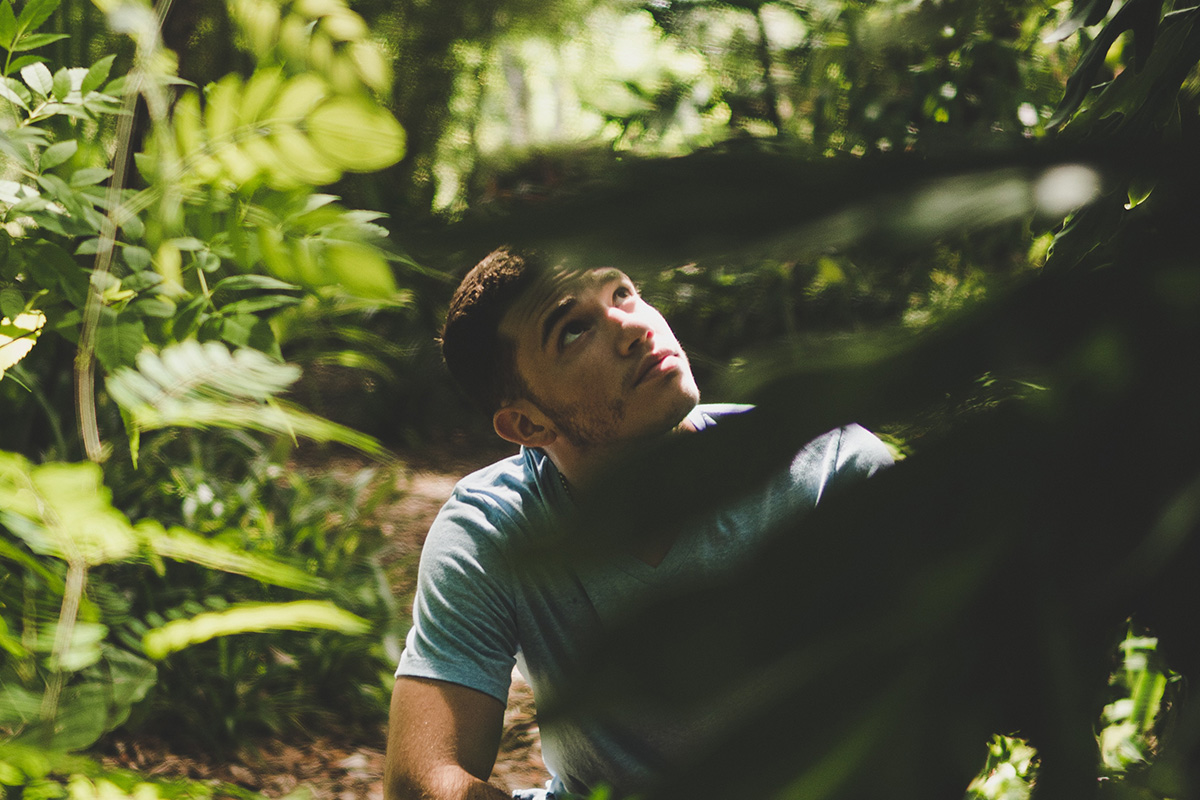 Man looking through trees in the forest