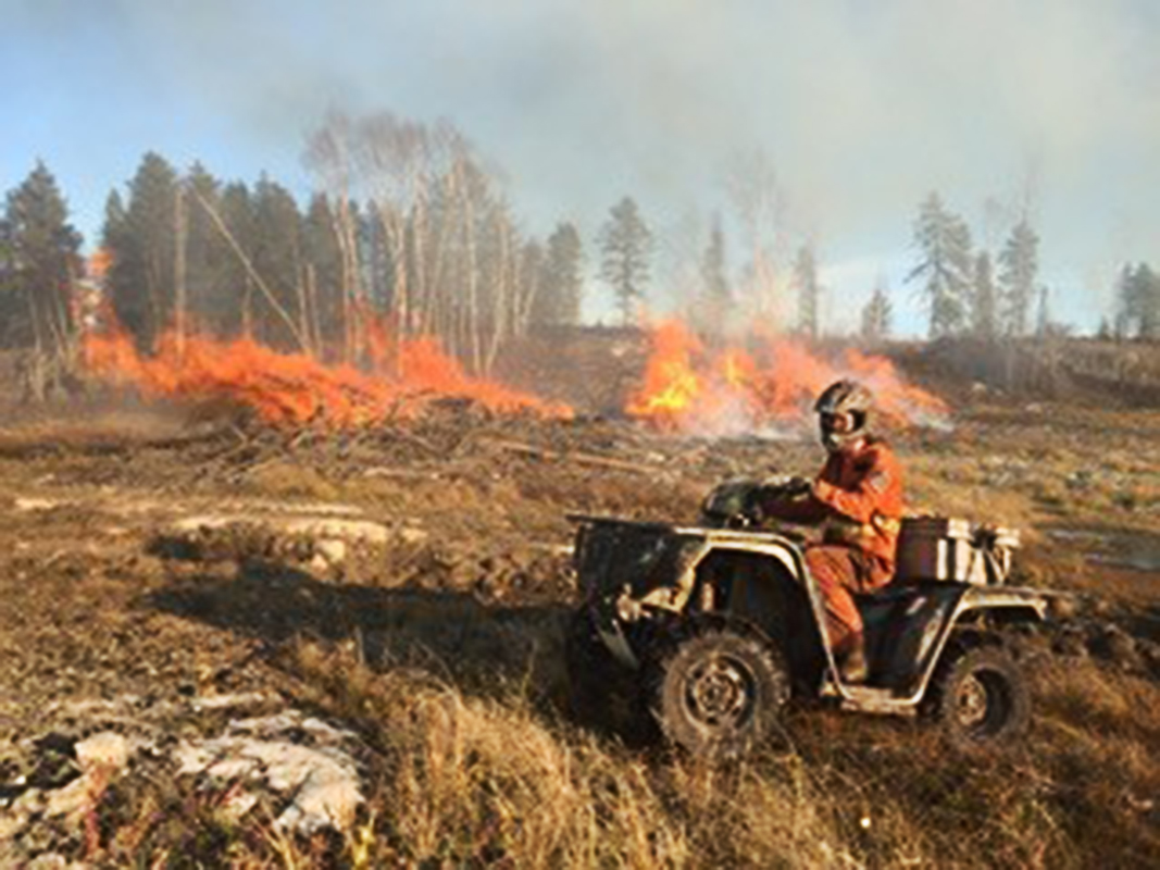 man on 4x4 driving through burning bush
